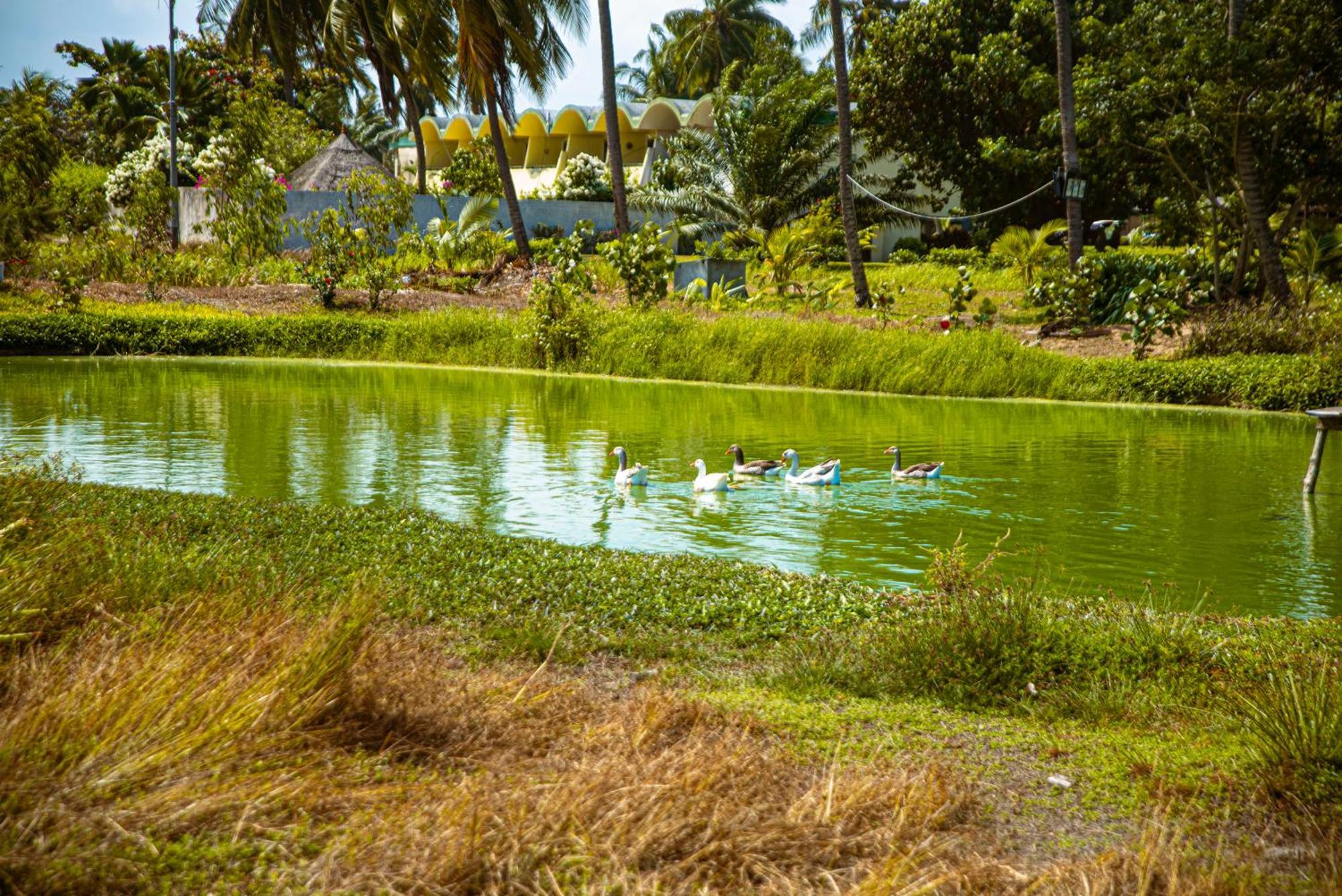 Hôtel Sarakawa Lomé Exterior foto